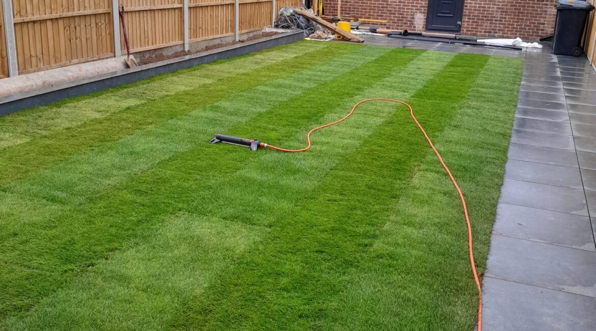 Lawn Renovating