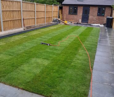 Lawn Renovating