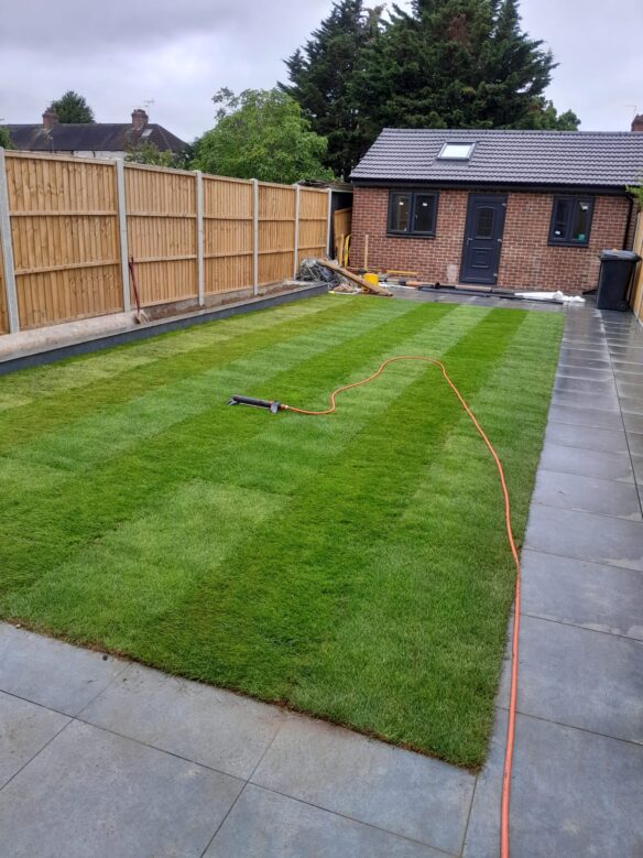 Lawn Renovating